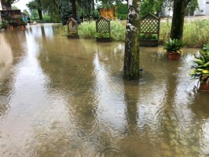 Read more about the article Amstettner Feuerwehren wegen Hochwasser massiv gefordert
